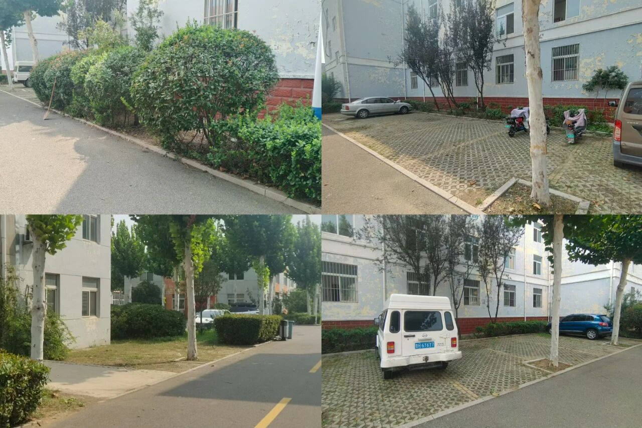 【魯南電商】共建美麗園區(qū)，我們在行動(dòng)！1